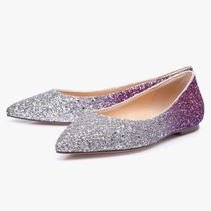 NWT Castamere Pointed Toe Flats in Hombre Silver Pink Glitter